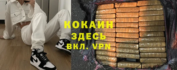 прущие грибы Ростов