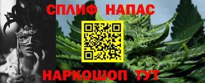 крисы Кохма