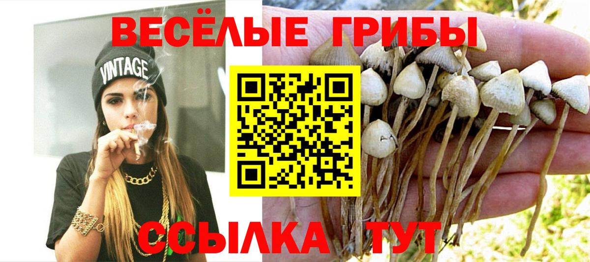 Галлюциногенные грибы MAGIC MUSHROOMS  Вход с VPN  Краснокамск  Галлюциногенные грибы прущие грибы 